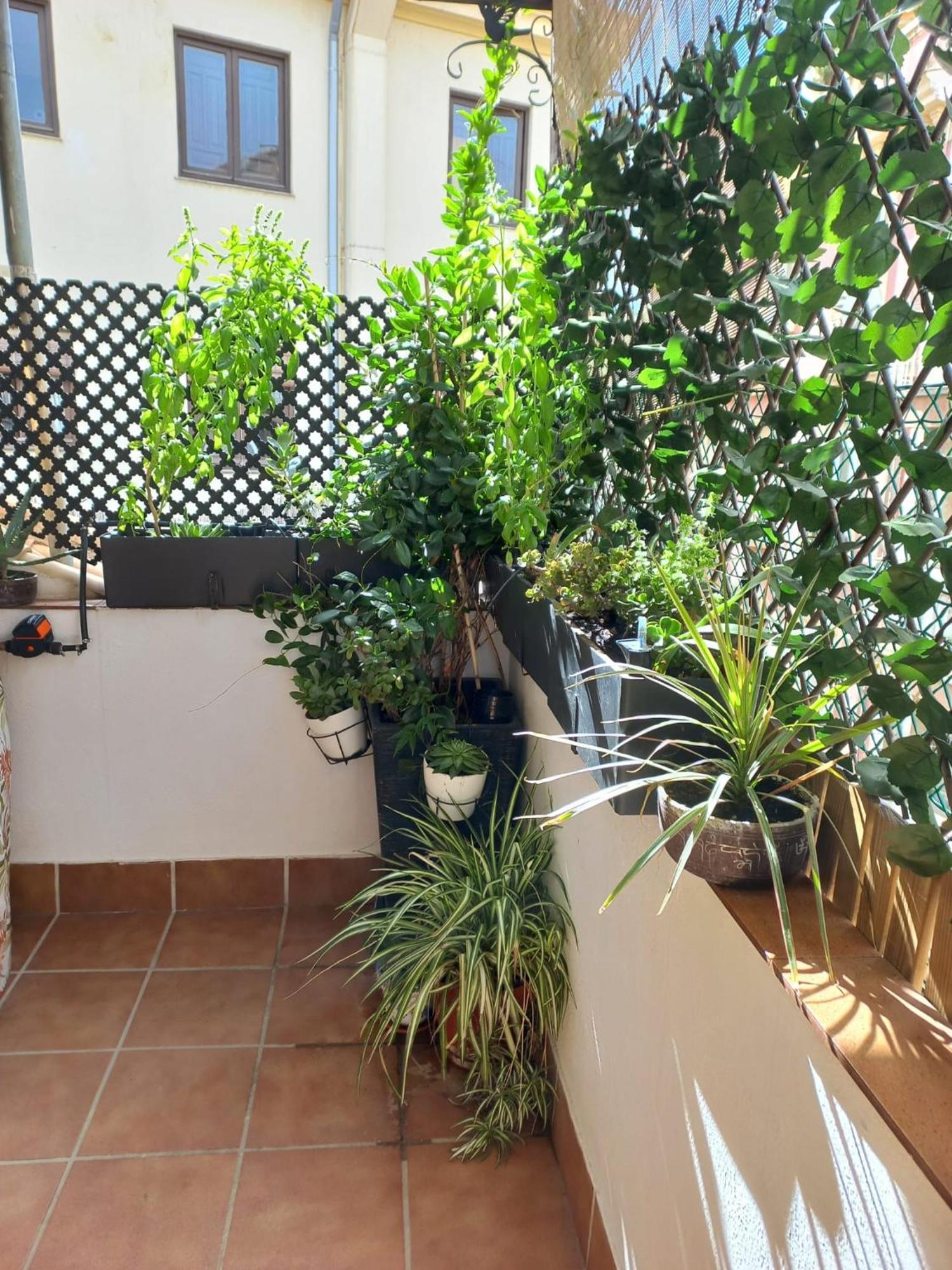 Atico Exclusivo En El Centro De Granada Apartment Exterior foto